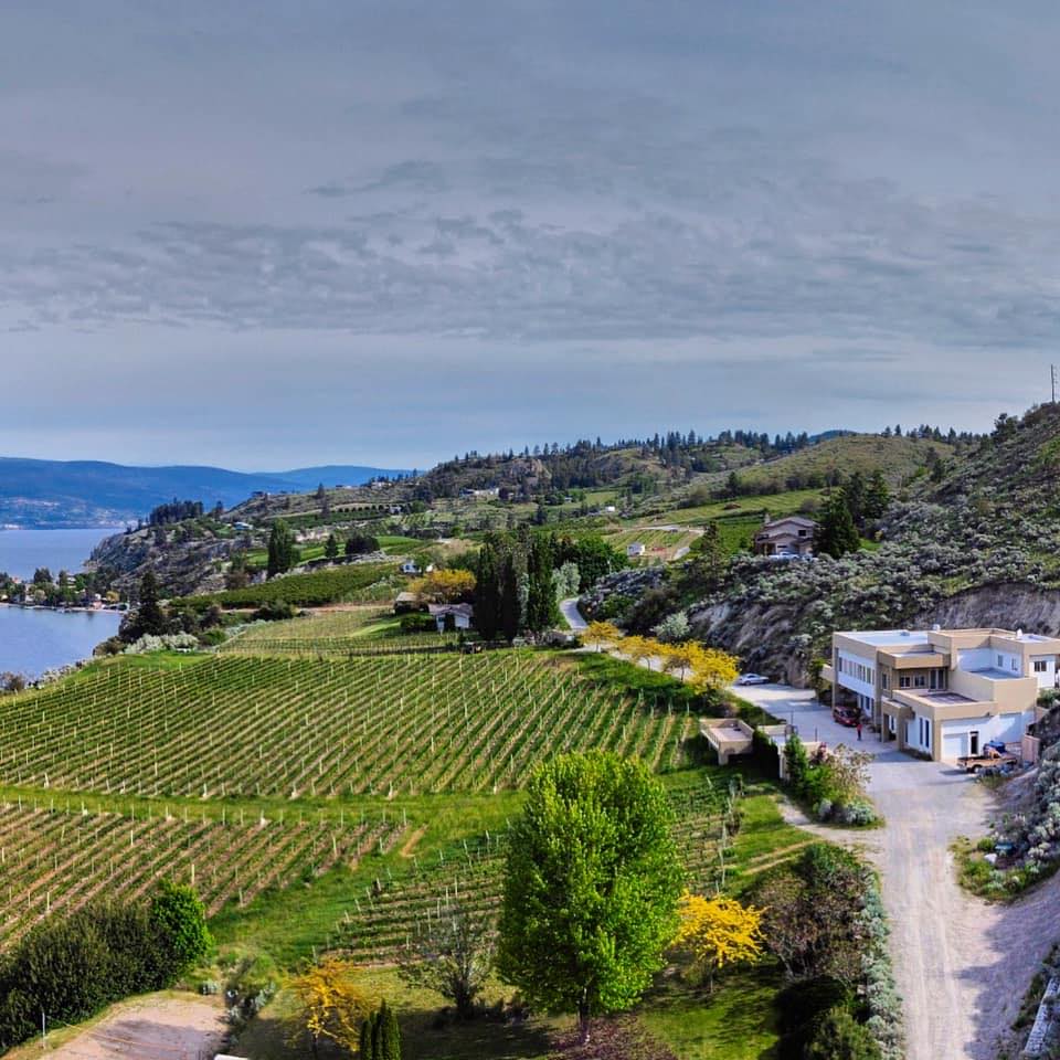 Oak Winery